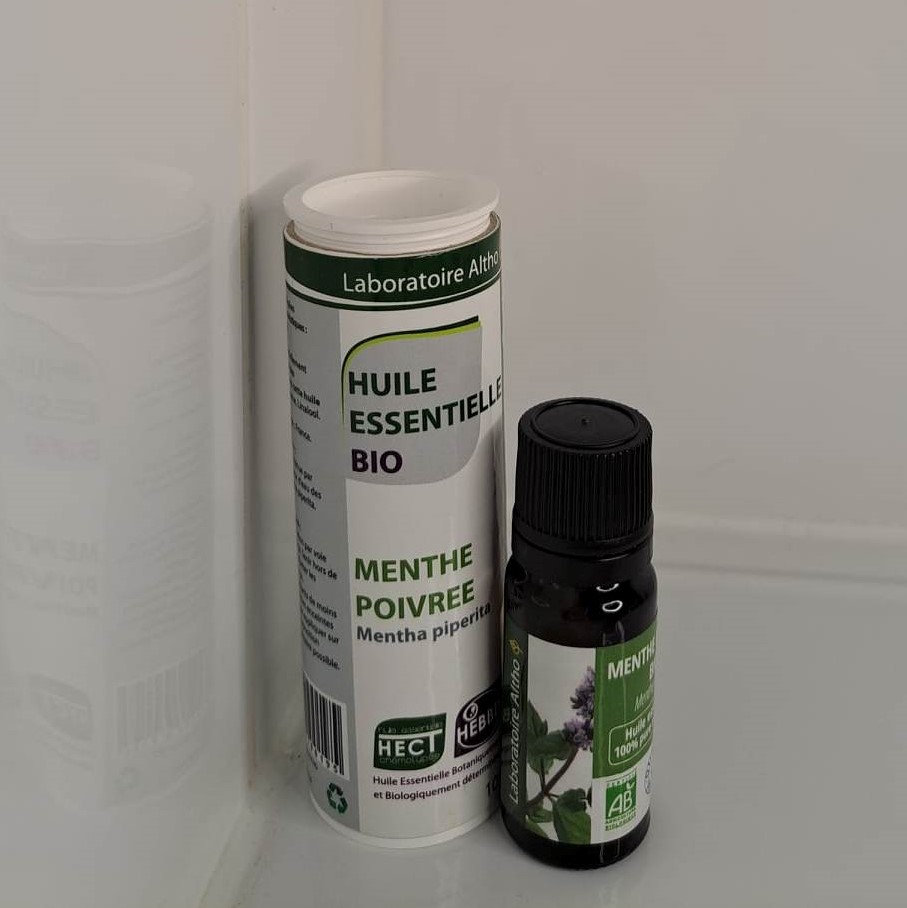 huile essentielle menthe poivrée bio 10 ml altho vrac et local allemans