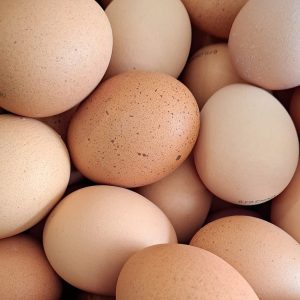 oeufs bio vrac et local allemans
